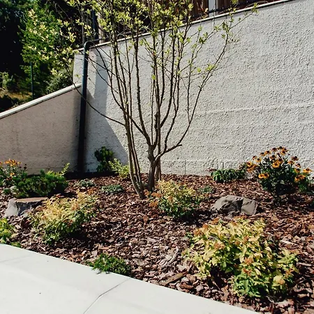 Cornelia * Banská Štiavnica